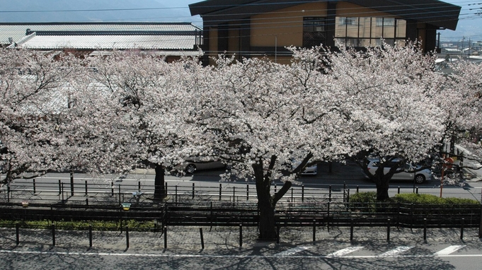 【お部屋からお花見】「さくら温泉通り」側のお部屋をお約束◇さくらワインやフレーバーティーの特典付♪